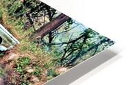 BURIED 59 FORD HD Metal print
