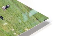DINOSAUR FARM HD Metal print