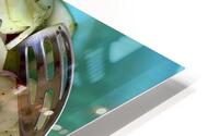 SALAD HD Metal print