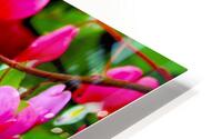BLEEDING HEARTS HD Metal print
