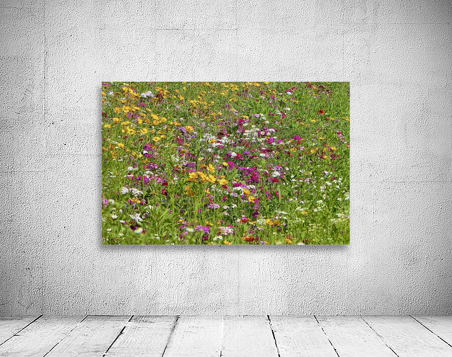 WILDFLOWERS Wall Preview