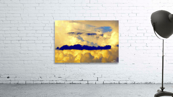 CLOUDS 2 GEESE  Wall Preview