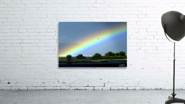 RAINBOW BIRD  Wall Preview