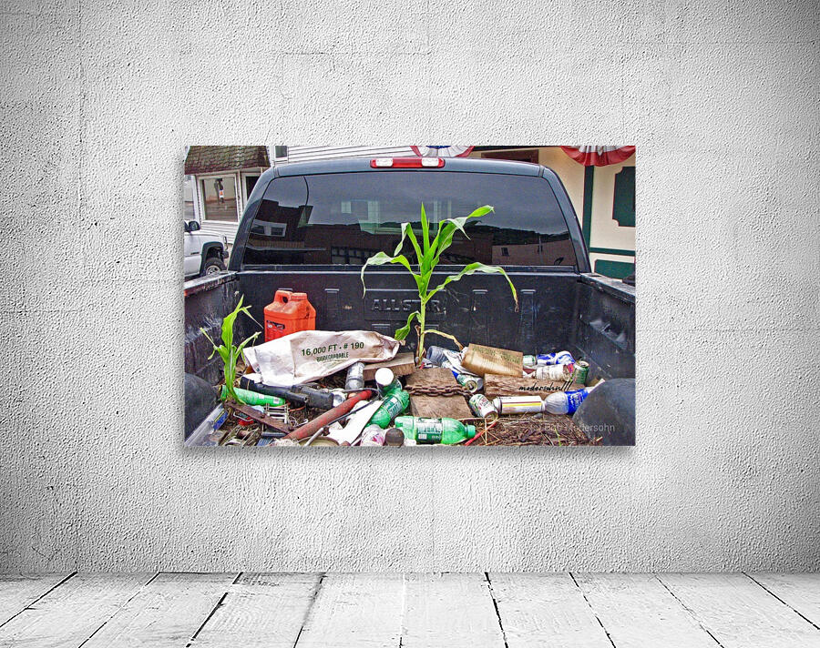 CORN GROWING WHERE  Wall Preview