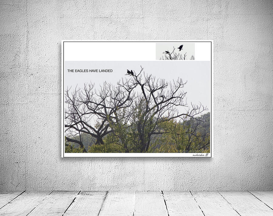 EAGLES LANDING Wall Preview