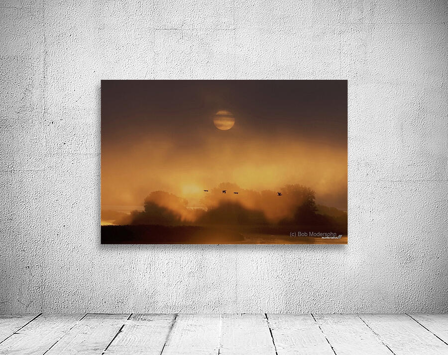 SUNRISE PELICANS Wall Preview