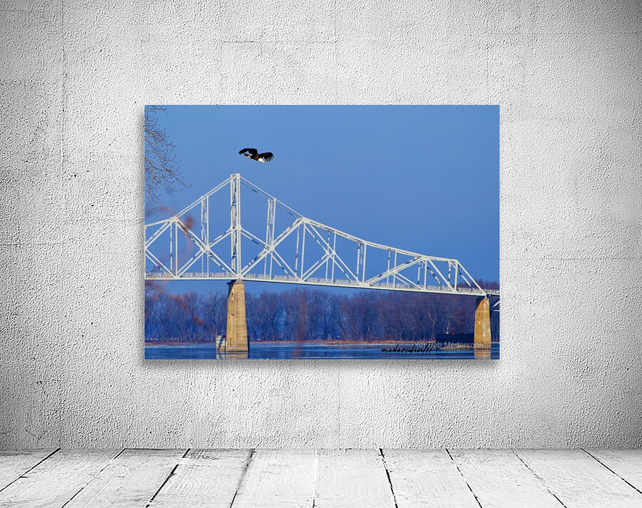 BALD EAGLE DIVE Wall Preview