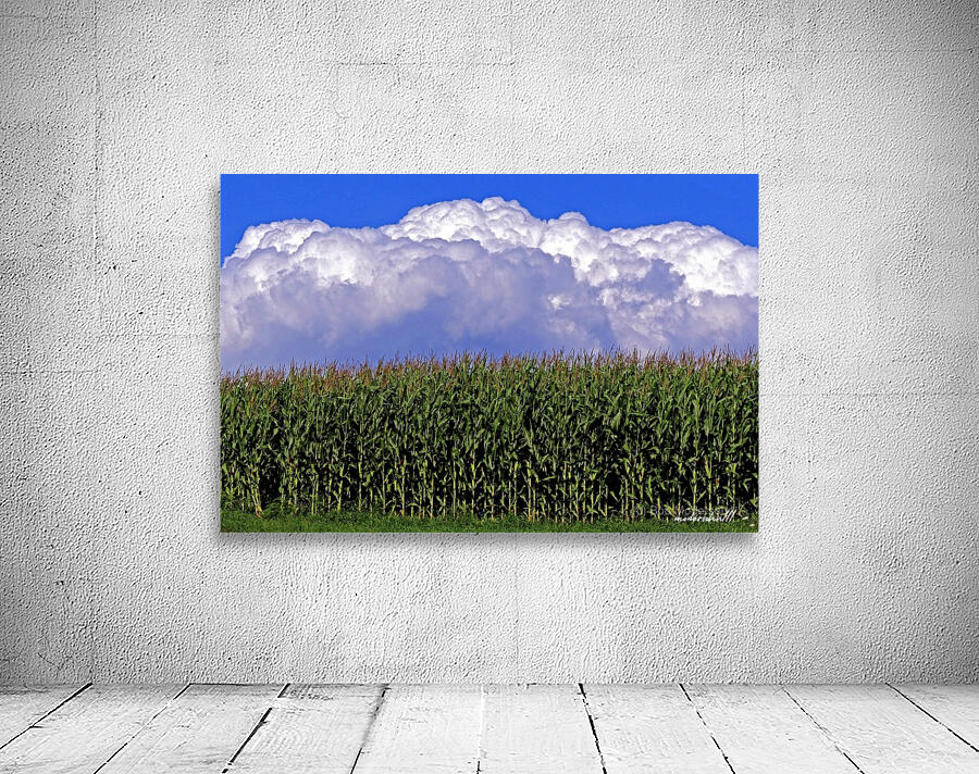CORN CLOUD CUPCAKE Wall Preview