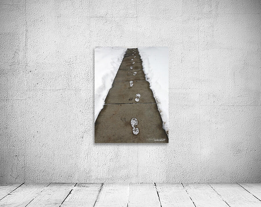 SNOWY FOOTPRINTS Wall Preview