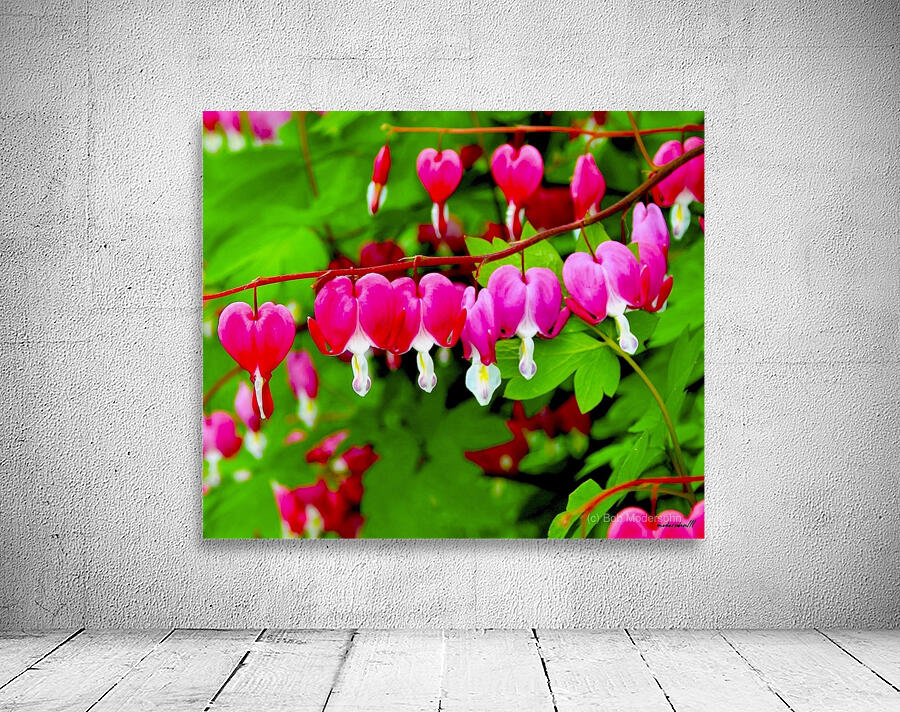 BLEEDING HEARTS Wall Preview