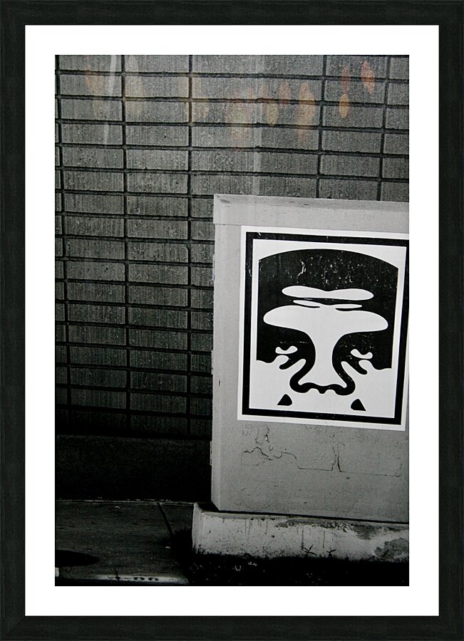 Obey Picture Frame print
