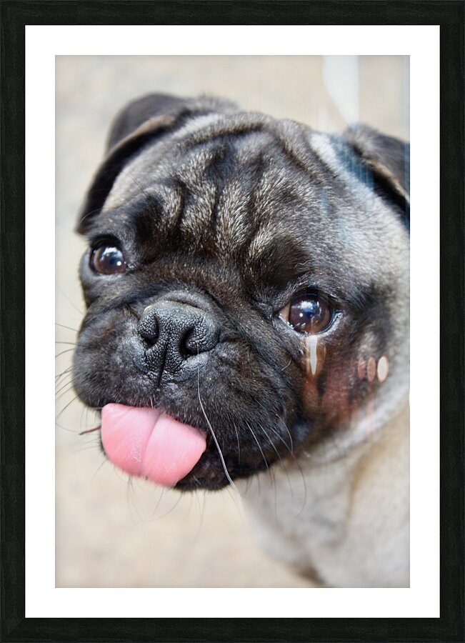  Fine Art print
