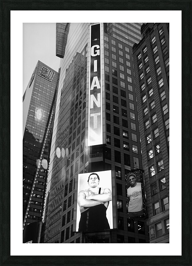  Fine Art print