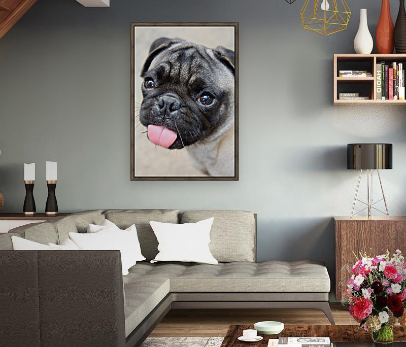 Pug Joker Reproduction