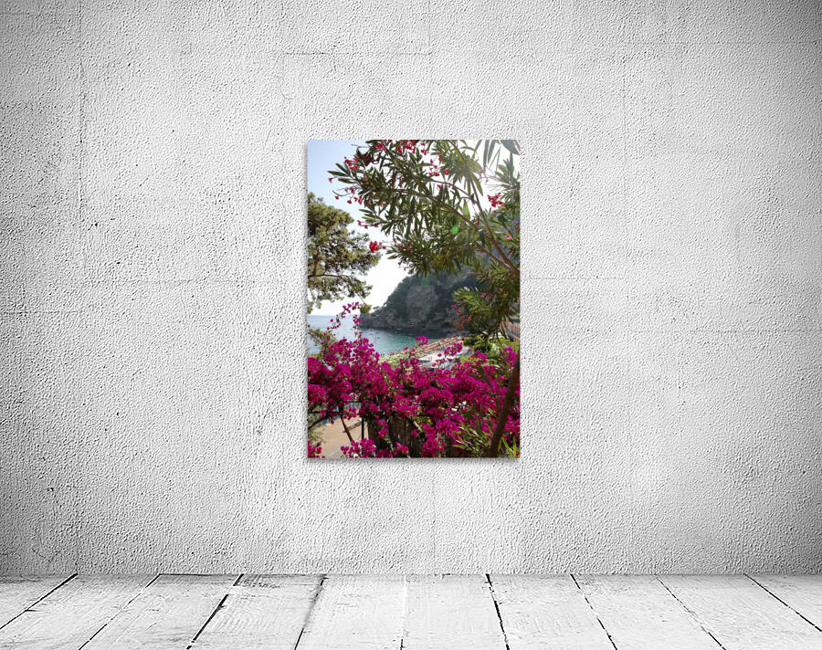 Fornillo Beach Wall Preview
