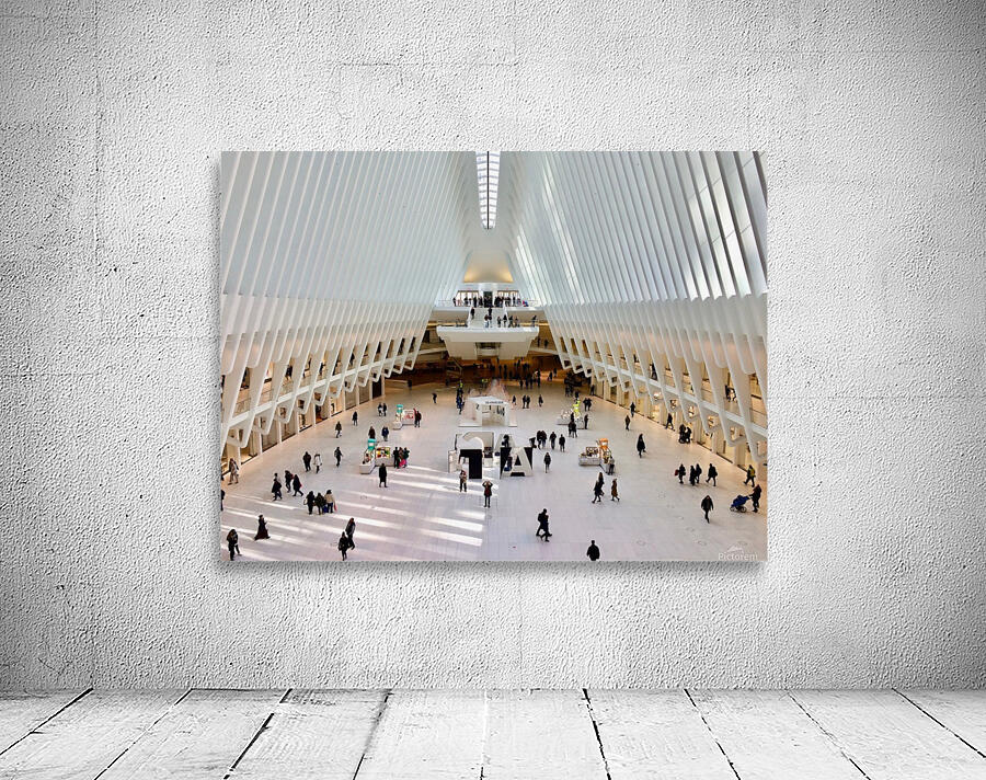 Oculus Wall Preview
