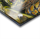 Box Turtle Acrylic print