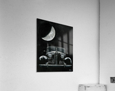 Moon Shine Acrylic Print