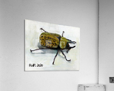 Hercules Beetle Acrylic Print