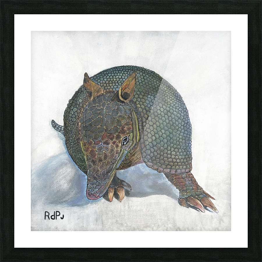Armadillo Picture Frame print