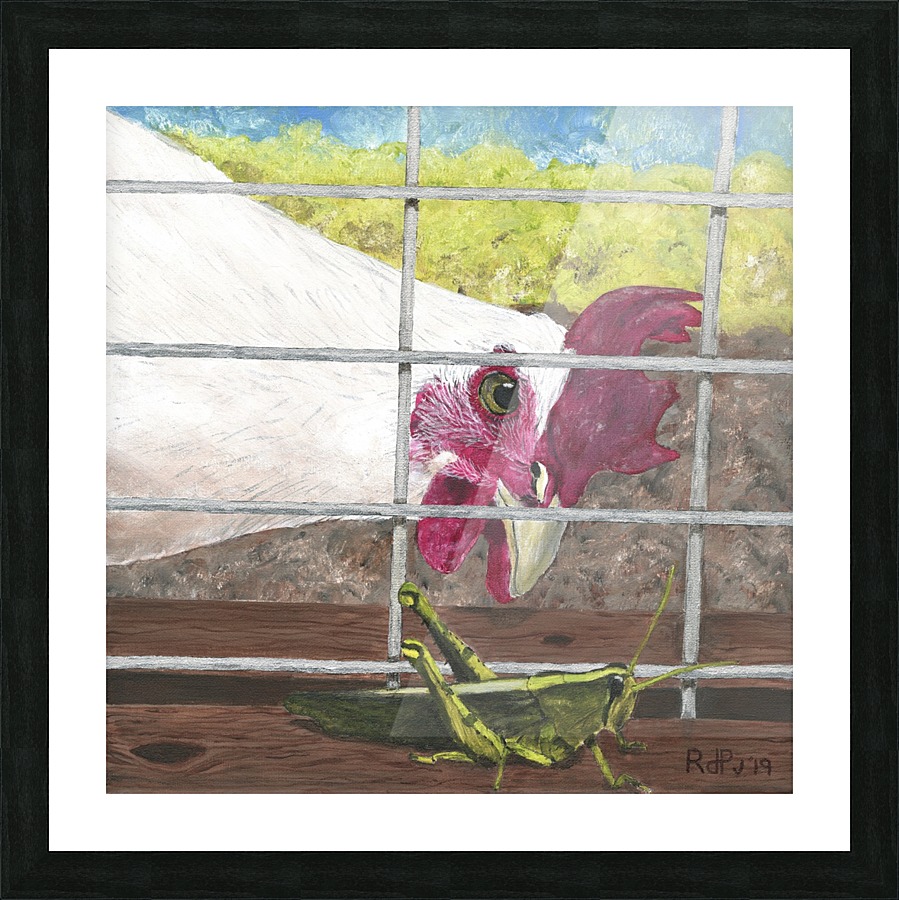 Hungry Hen Picture Frame print