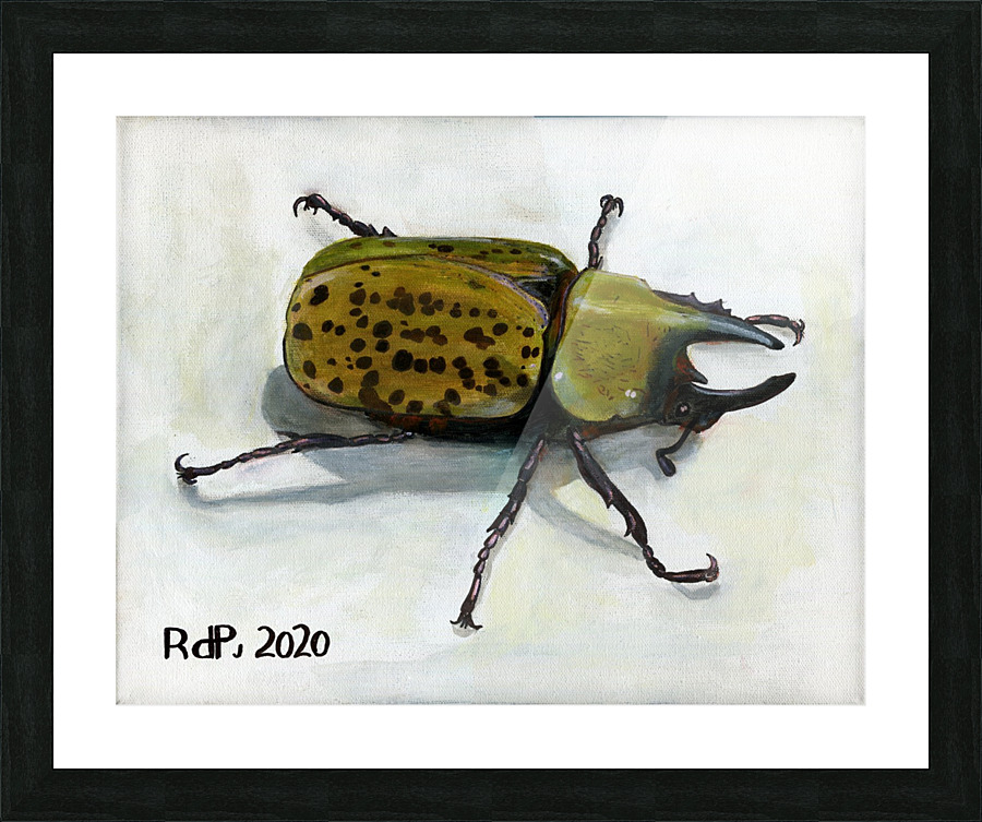 Hercules Beetle Picture Frame print