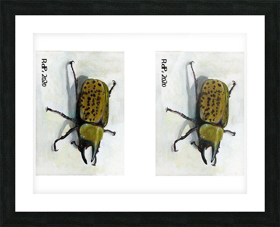 HerculesBeetle5x7 Picture Frame print