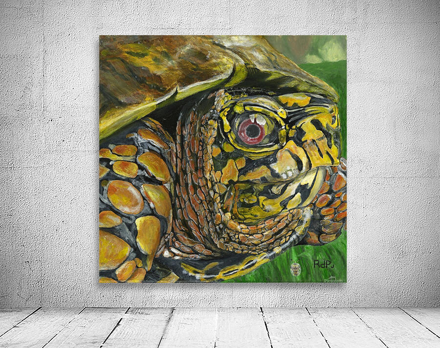 Box Turtle Wall Preview