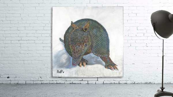 Armadillo Wall Preview