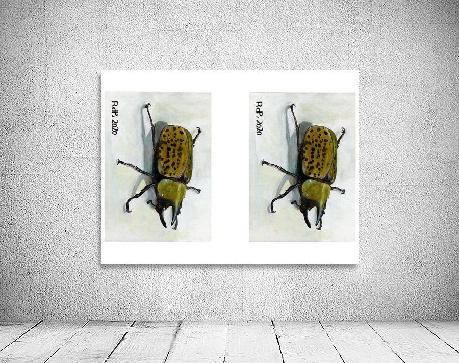 HerculesBeetle5x7 Wall Preview