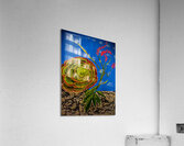 Succulent Blooms Acrylic Print
