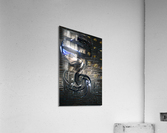 Cobra Acrylic Print