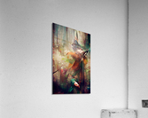 Robin Hood6 Acrylic Print