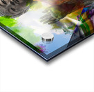 Buddha s sky view Acrylic print