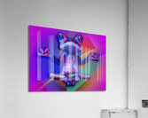 Abstract Frog Acrylic Print