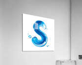 The Letter S Acrylic Print