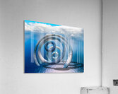 Catalina Coil Acrylic Print