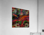 Starfish Acrylic Print