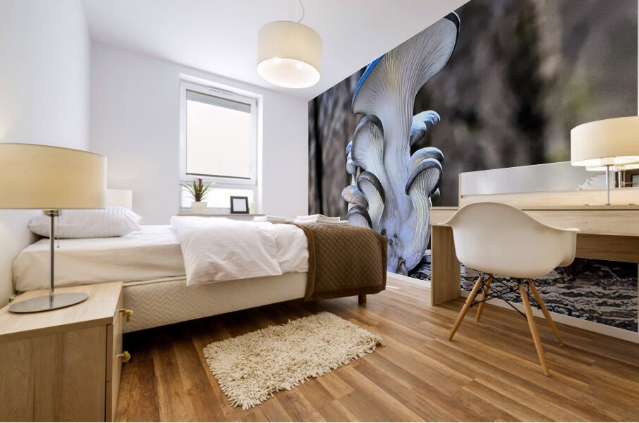 Magic Mushrooms Mural print