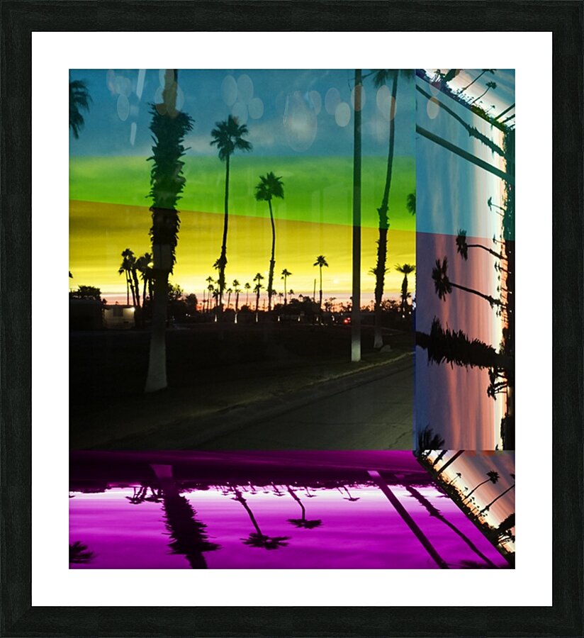 Palm drive Picture Frame print
