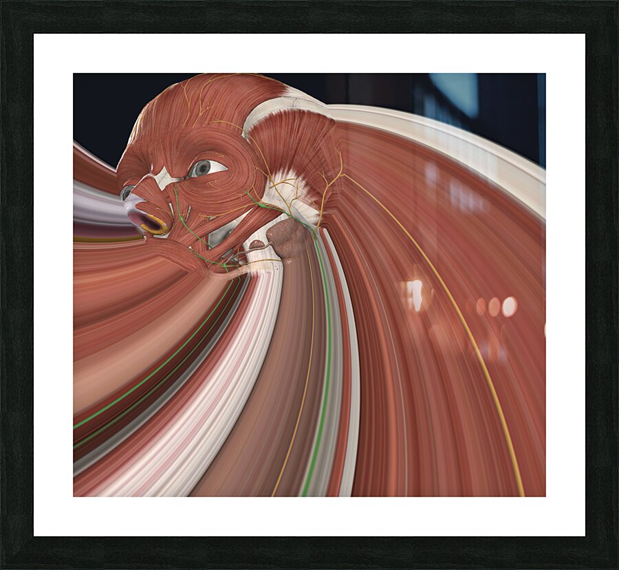 Muscle Fray Picture Frame print