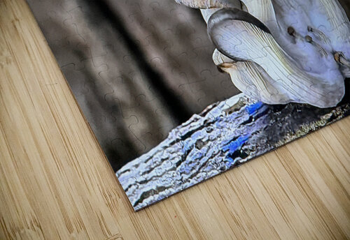 Magic Mushrooms Shea Michaels puzzle
