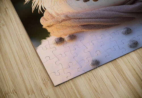 Hairy Snowman Shea Michaels puzzle