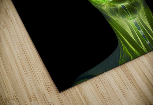 Neon Lights Shea Michaels puzzle