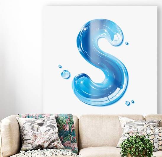The Letter S by Shea Michaels