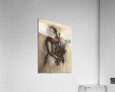 Violindream Acrylic Print