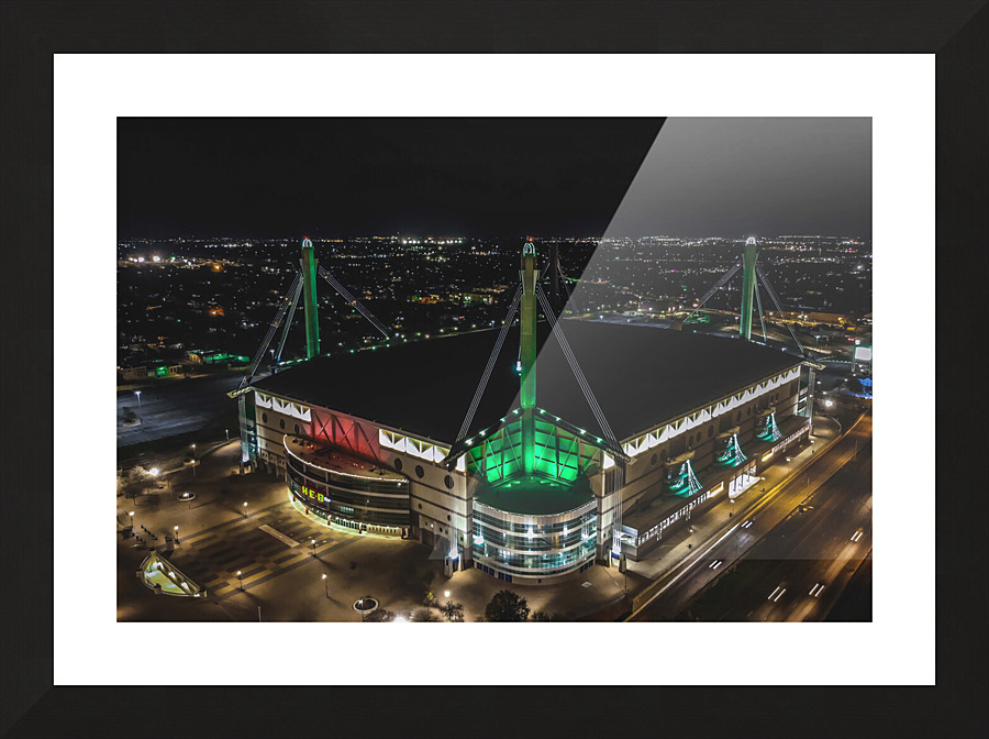 Alamodome Picture Frame print