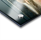 Birdie Acrylic print