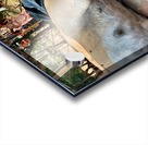 Doggie Afternoon Nap Acrylic print