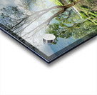 Drive Through Tea Plantations Acrylic print